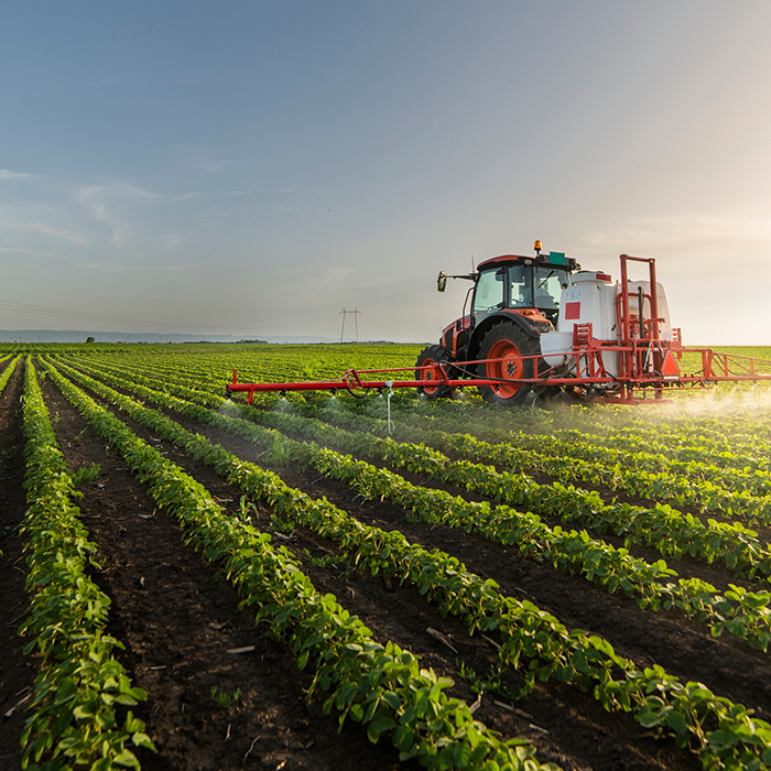 farm tractor sprays fertilizer on new crops